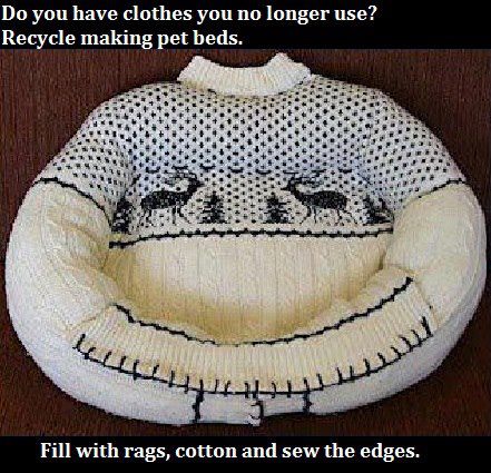 Sweater Bed Photo Sweater Bed Photo